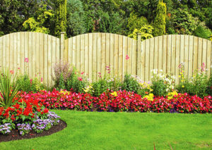 Taupo fence repair company