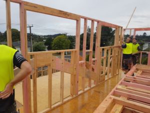 Orakei house building companies